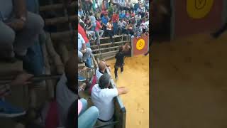 un hombre saca al toro del burlaero 2017 la peza [upl. by Kung661]