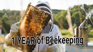 Becoming a Beekeeper  Day 1 till Day 365  my first Honey Harvest  1 year of Keeping bees [upl. by Metabel]