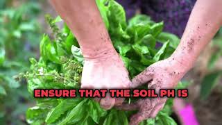 Common Reasons Why Basil Planting Fails [upl. by Anifares]