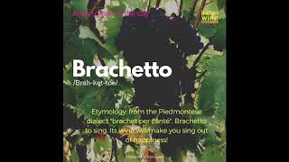 Brachetto [upl. by Blinnie547]