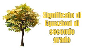 Significato delle equazioni di secondo grado [upl. by Traggat]