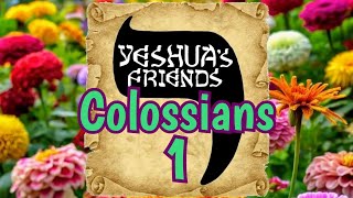 Bible Reading on Colossians 1 CJB Version [upl. by Toinette]