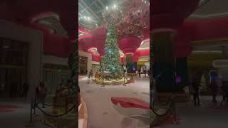 merrychristmas merry christmas decoration holidays christmastree views shortvideo 2024 [upl. by Annet378]