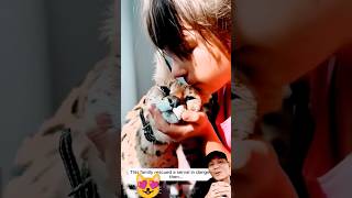 😻Serval cat rescue full of sincere love cat respect animalrescue wildlife serval shorts reels [upl. by Cerelly]