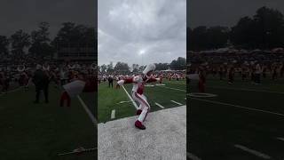 Tuskegee University Marching Crimson Pipers Drum Major❤️💛🐅💛❤️🐅 [upl. by Monah]