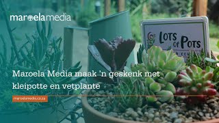 Maroela Media maak ŉ geskenk met kleipotte en vetplante [upl. by Stesha]