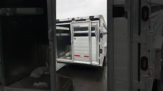 Check out this show stock livestock trailer wilson livestock showcattle farmer cattle farming [upl. by Olaznog260]