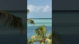 Escape the Ordinary Unforgettable Getaways in Key Largo Sun Outdoors Key Largo [upl. by Gildus]