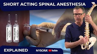 Mastering ShortSpinal Anesthesia WHY WHEN HOW [upl. by Lletnwahs577]