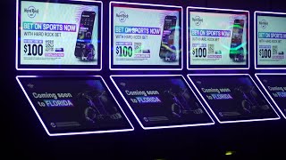 Seminole Casino Hotel welcomes sports betting in Florida [upl. by Aihn765]