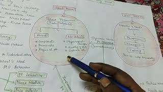 Orlando Theory of Deliberative Nursing Process theorymodel [upl. by Rafter971]