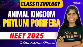 Class 11 Zoology  Animal Kingdom  Phylum Porifera  NEET 2025  Vedantu NEET Tamil [upl. by Alliuqahs]