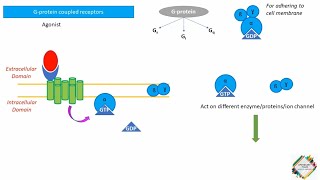 DRUG RECEPTOR INTERACTIONS [upl. by Dnalro]