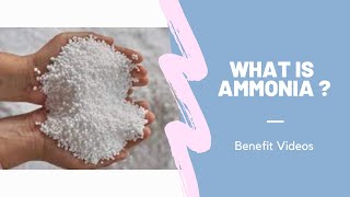 What Is Ammonia [upl. by Maupin875]