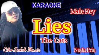 LIESThe CatsMale KeyKARAOKE [upl. by Platus]