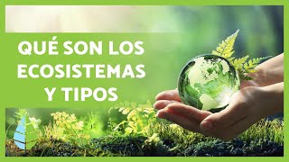 Definición y TIPOS de ECOSISTEMAS 🏜️🏙️🌅 [upl. by Lean]