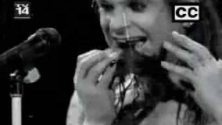 Ozzy Osbourne Bites The Head Of A Bat [upl. by Patten]