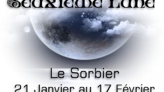 LA LUNE DU SORBIER § DU 21 JANVIER AU 17 FÉVRIER [upl. by Ovida]