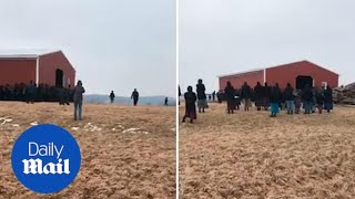 Incredible video of crowd of Amish people lifting and moving barn [upl. by Ahteres209]