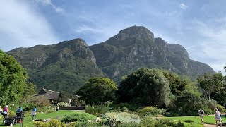 South Africa  Cape Town  Kirstenbosch Botanical Garden [upl. by Faso259]