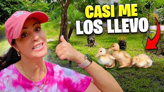 QUIERO Unos PATICOS YA 😅 Hoy Limpiamos el Bosque de la Finquita Bonita 😱 Sandra Cires Vlog [upl. by Ennazus102]