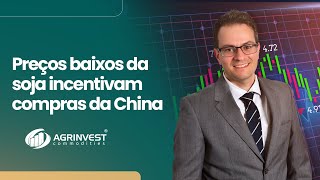 Preços baixos da soja incentivam compras da China e demanda tem boa concentração no BR [upl. by Aeirdna]