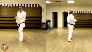 2 Pinan Nidan Wado Ryu [upl. by Berkeley]