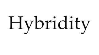 How to Pronounce Hybridity [upl. by Drona669]