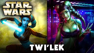 TWILEK Species Canon  Star Wars Explained [upl. by Anemij]