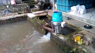 Ratanya Lontaran Pakan Smart Feeder eFishery di Cijambe [upl. by Semela]