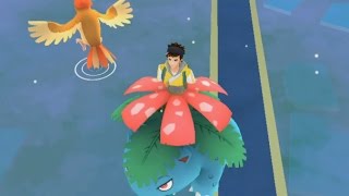 A Wild Venusaur Has Appeared PLUS Wild Hitmonchan amp 5km Egg Hatching Spree [upl. by Hyacinthia]