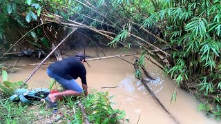 Joran sampai terbang Di tarik ikan lele monster mancing ikan lele monster di bawah bambubambu [upl. by Ainak]