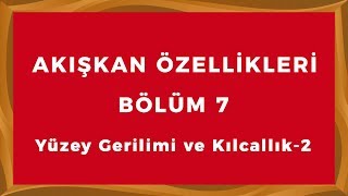 BÖLÜM 7 Yüzey Gerilimi ve Kılcallık2 [upl. by Felisha]