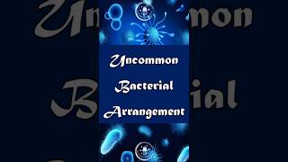 Bacterial Shapes Explained Vibrio Spirilli Pleomorphic and More bacterialdiseases biology [upl. by Ettener]