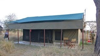 Serengeti Angata Tented Camp [upl. by Yrekaz429]