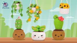 1 Crochet Plants 6Pack Flower Pot Rnds 12 [upl. by Bran]