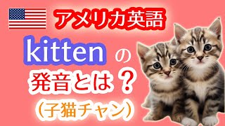 アメリカ英語のkittenの発音の仕方とは？子猫は英語で何て言うの？喉元で音を止める「tの発音」がカギ‼カタカナ表記のキトゥンやキッテンとは異なる標準アメリカ英語の動画（映像・音声）でリスニング上達☆ [upl. by Tegirb]