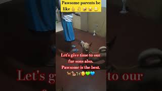 Pawsome parents be like dogticks dogowner puppy zeus petowner pets doglover rottweiler [upl. by Jennica]