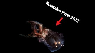 Neurodes farm 2022 110 per match WarFrame [upl. by Anuat]