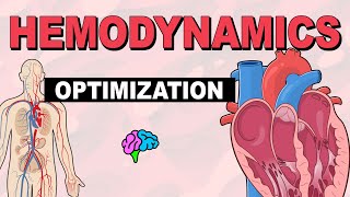 Manipulation amp Optimization  Hemodynamics Part 6 [upl. by Yelssew]