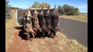 GOONDIWINDI PORK [upl. by Elocaj]