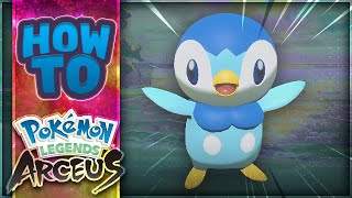 HOW TO GET Piplup in Pokémon Legends Arceus [upl. by Wier]