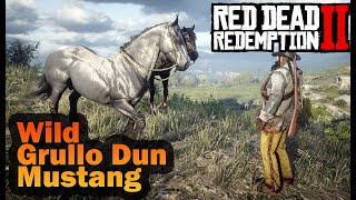 Red Dead Redemption 2 Wild Grullo Dun Mustang Horse Location and Taming [upl. by Ruzich]