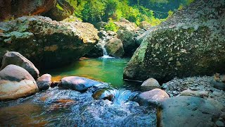 relaxing river sounds no birdsongamp sound of water flowing from peaceful river for relaxation [upl. by Berlyn978]