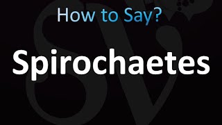 How to Pronounce Spirochaetes correctly [upl. by Ob592]