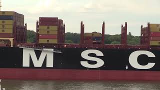 🚢 Shipspotting in Hamburg Germany MSC Calypso Container Ship on the Elbe River [upl. by Nnaassilem]