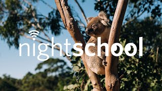 NightSchool Down Under [upl. by Dahs]