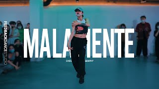 ROSALÍA  MALAMENTE  CHESHIR Choreography [upl. by Naleag628]