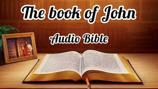 Audio Bible The book of John [upl. by Yrrol998]