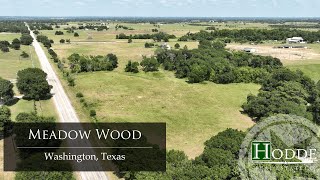 Pond and Wooded Acreage Is the Life for Me Washington Texas  Hodde Real Estate Co [upl. by Acsecnarf]